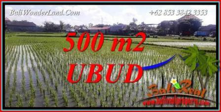 Tanah di Ubud Bali Dijual 5 Are View Sawah