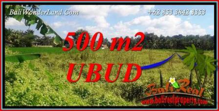 Tanah Murah di Ubud Dijual 5 Are di Sentral Ubud