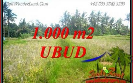 Tanah di Ubud jual Murah 10 Are View Sawah Lingkungan Villa