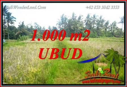 Tanah di Ubud jual Murah 10 Are View Sawah Lingkungan Villa