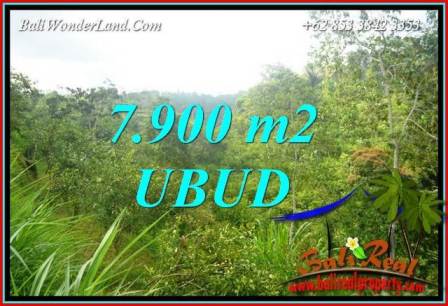 Tanah Dijual di Ubud 7,900 m2 View Tebing dan sungai