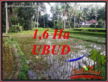 Tanah di Ubud Bali Dijual Murah TJUB735