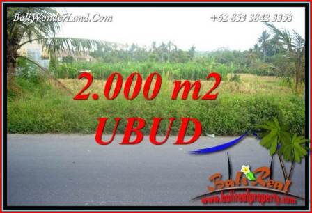 Tanah di Ubud jual Murah 20 Are View sawah lingk. restorant