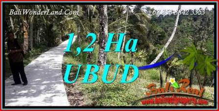 Dijual Murah Tanah di Ubud 12,000 m2 di Ubud Tegalalang