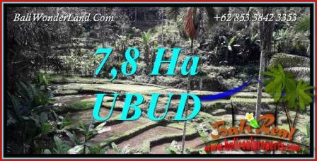 Tanah Murah di Ubud Bali Dijual 78,000 m2 View sawah, tebing dan sungai