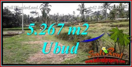 Dijual Murah Tanah di Ubud Bali TJUB743