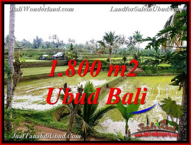 INVESTASI PROPERTY, JUAL TANAH MURAH di UBUD TJUB769