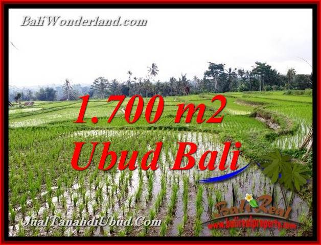 TANAH MURAH DIJUAL di UBUD BALI 1,700 m2 di TEGALALANG UBUD