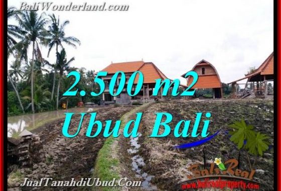 JUAL TANAH di UBUD 25 Are di PEJENG UBUD