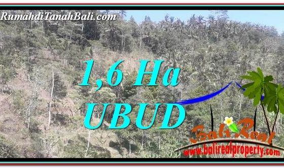 INVESTASI PROPERTY, JUAL TANAH di UBUD BALI TJUB748