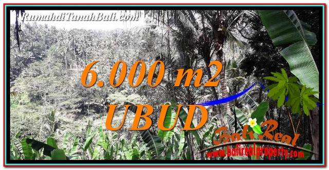 TANAH MURAH di UBUD DIJUAL 60 Are di Ubud Payangan