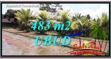 TANAH di UBUD DIJUAL MURAH 5 Are di Ubud Pejeng