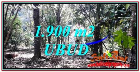 JUAL TANAH di UBUD BALI 1,900 m2 View Sawah dan Sungai Kecil