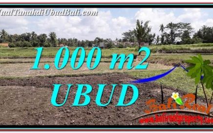 JUAL TANAH di UBUD 10 Are di Sentral Ubud