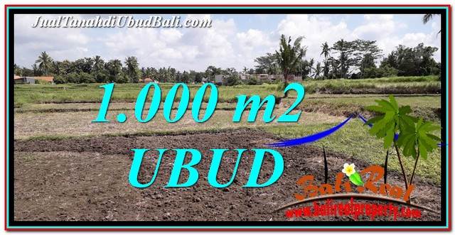 JUAL TANAH di UBUD 10 Are di Sentral Ubud