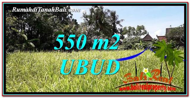 TANAH MURAH di UBUD JUAL 550 m2 View kebun link Villa