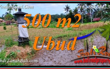 JUAL TANAH DI UBUD BALI TJUB812