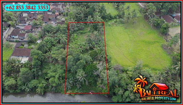 TANAH MURAH JUAL   UBUD 2,400 m2  View Jungle Tepi Sungai