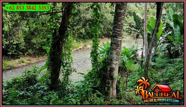 TANAH MURAH JUAL   UBUD 2,400 m2  View Jungle Tepi Sungai