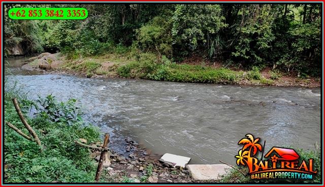 TANAH MURAH JUAL   UBUD 2,400 m2  View Jungle Tepi Sungai