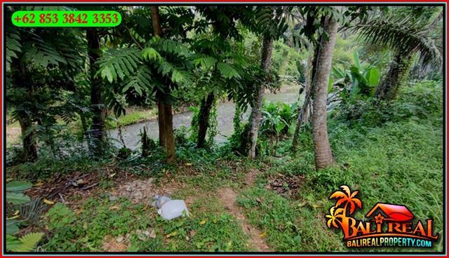 TANAH MURAH JUAL   UBUD 2,400 m2  View Jungle Tepi Sungai