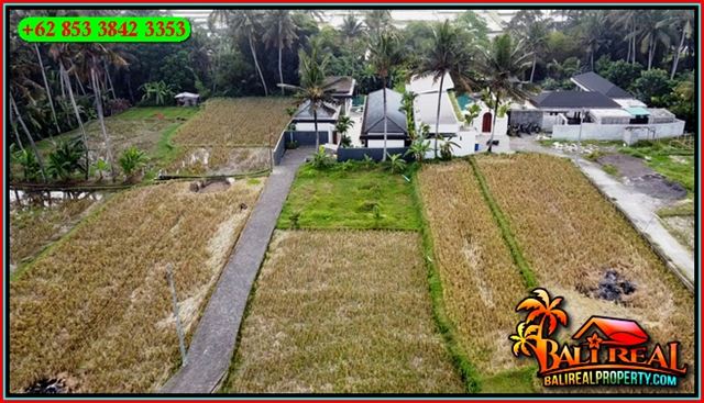 TANAH MURAH DIJUAL di UBUD BALI Untuk INVESTASI TJUB849