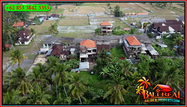 TANAH MURAH JUAL di UBUD BALI 2 Are View Kebun Lingkungan Villa