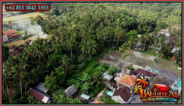 TANAH MURAH JUAL di UBUD BALI 2 Are View Kebun Lingkungan Villa