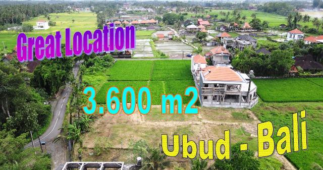 TANAH di UBUD DIJUAL TJUB836