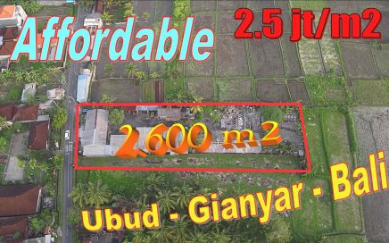 DIJUAL MURAH TANAH di UBUD BALI TJUB848