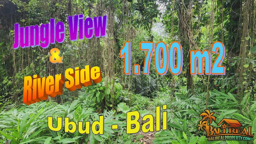 TANAH di UBUD BALI DIJUAL MURAH Untuk INVESTASI TJUB856