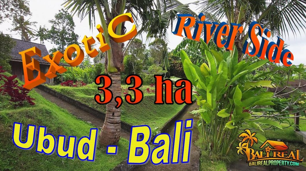 TANAH DIJUAL MURAH di UBUD BALI 33,000 m2 di Sukawati Ubud