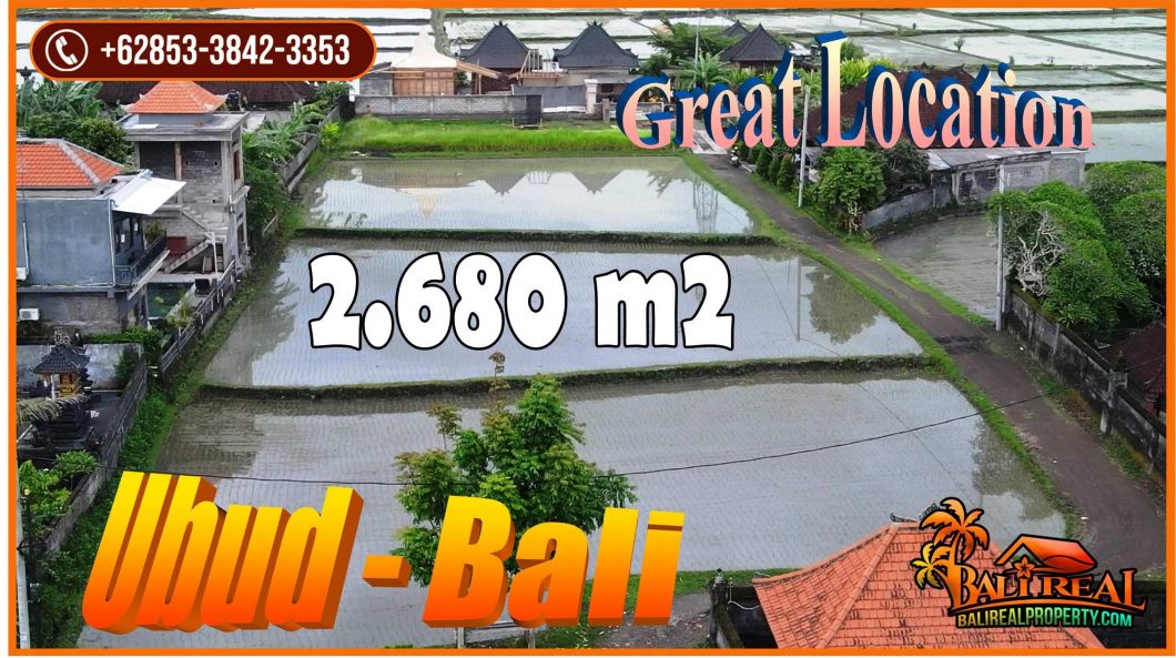 JUAL TANAH DI UBUD 26.8 Are View Sawah Lingkungan Villa