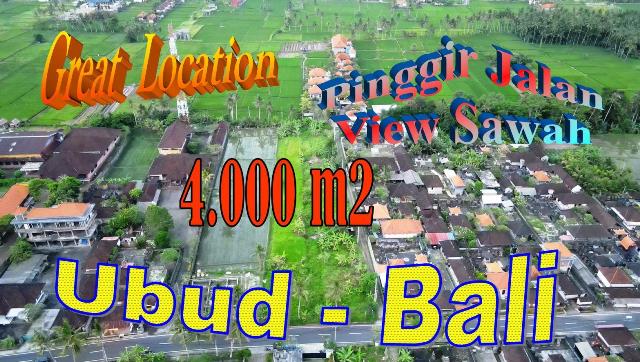 INVESTASI PROPERTI, TANAH MURAH DIJUAL di UBUD TJUB862