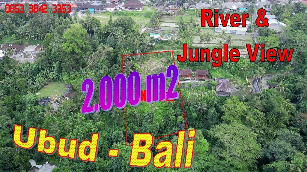 TANAH DIJUAL MURAH di UBUD Untuk INVESTASI TJUB867