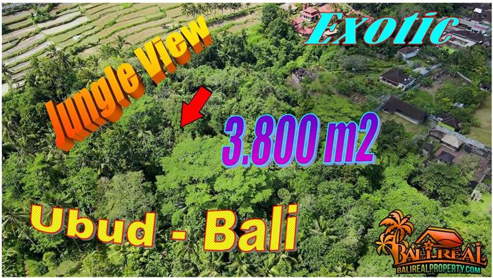 TANAH di UBUD BALI DIJUAL MURAH TJUB870