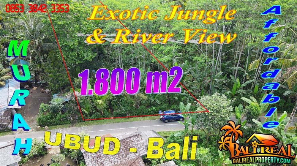 JUAL TANAH DI UBUD BALI 1,800 m2 View Hutan tepi Sungai