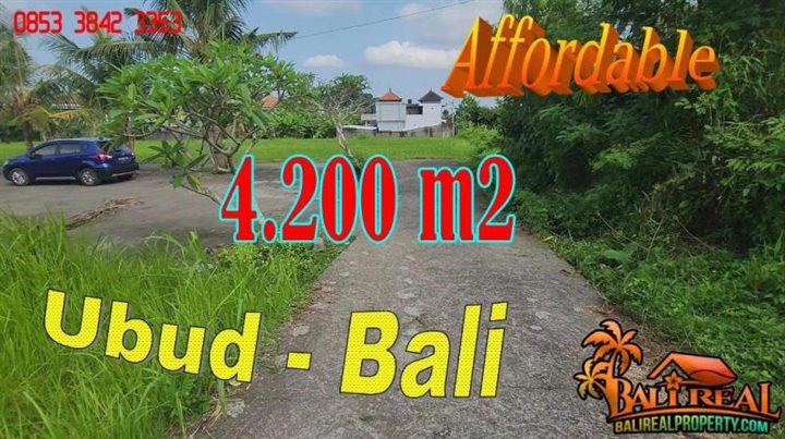 TANAH MURAH di UBUD BALI DIJUAL Untuk INVESTASI TJUB868