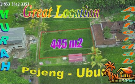 Murah Cantik Strategis, Tanah dijual di Pejeng Ubud Gianyar Bali TJUB878