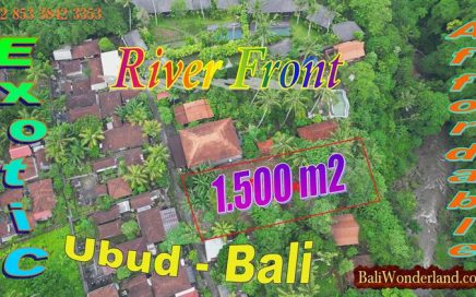 Murah ! Tanah tepi Sungai Petanu dijual dekat Goa Gajah dan Sentral Ubud Bali TJUB880