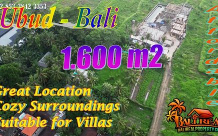 Strategis untuk Villa Tanah dijual Murah dekat Sentral Ubud Gianyar Bali TJUB883