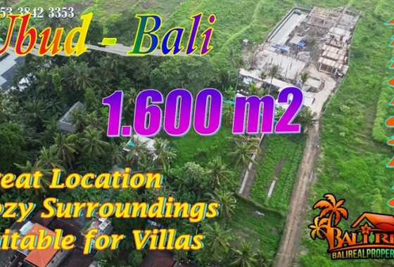 Strategis untuk Villa Tanah dijual Murah dekat Sentral Ubud Gianyar Bali TJUB883