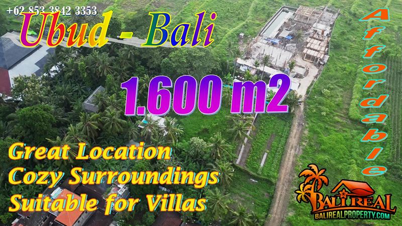 Strategis untuk Villa Tanah dijual Murah dekat Sentral Ubud Gianyar Bali TJUB883