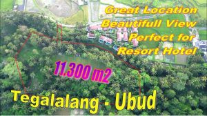 Cocok Untuk Villa atau Resort Hotel, Tanah dijual di Tegalalang Ubud - TJUB884