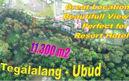 Cocok Untuk Villa atau Resort Hotel, Tanah dijual di Tegalalang Ubud - TJUB884