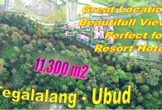 Cocok Untuk Villa atau Resort Hotel, Tanah dijual di Tegalalang Ubud - TJUB884