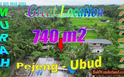 Investasi Strategis Jual Tanah Murah di Ubud Pejeng Bali cocok untuk Villa TJUB879