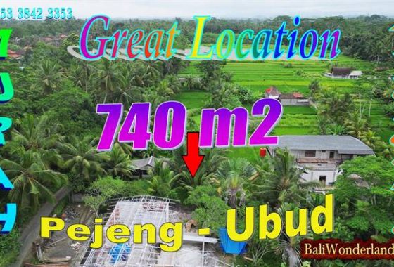 Investasi Strategis Jual Tanah Murah di Ubud Pejeng Bali cocok untuk Villa TJUB879