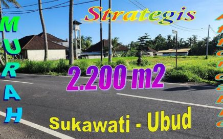 Peluang Investasi Properti di Bali ! Tanah dijual Murah di Sukawati Dekat Ubud TJUB881