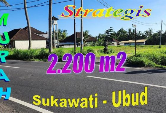 Peluang Investasi Properti di Bali ! Tanah dijual Murah di Sukawati Dekat Ubud TJUB881